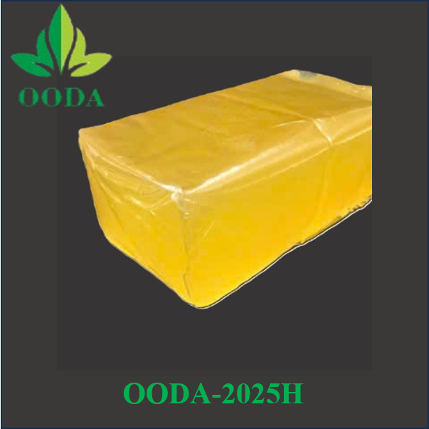 OODA-2025H